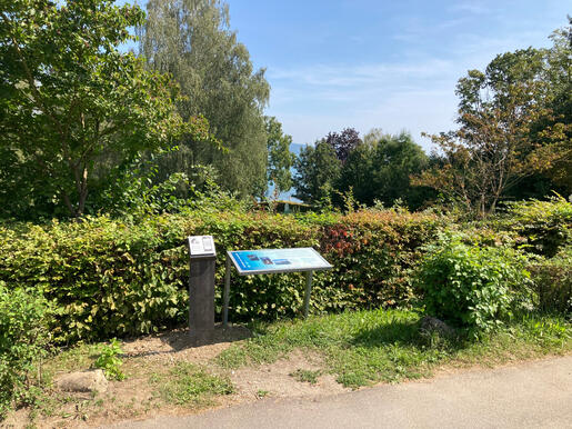 Info-Stop "Konstanz-Litzelstetten" mit Metall-Stele