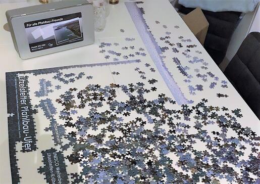 Puzzle der Luftbildaufnahme vom Litzelstetter Pfahlbau-Ufer in Arbeit